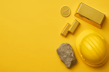 Previous Article Image