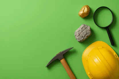 Previous Article Image