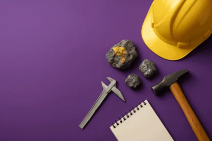 Previous Article Image