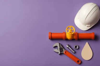 Previous Article Image