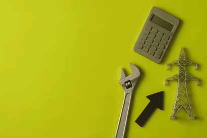 Previous Article Image