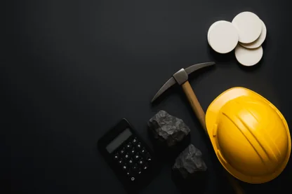 Previous Article Image