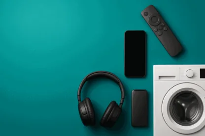 Previous Article Image