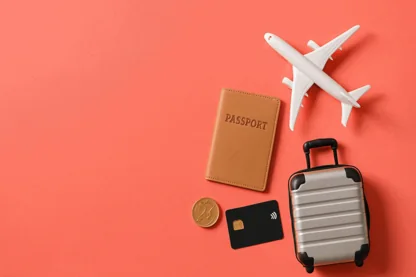 Previous Article Image