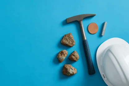 Previous Article Image