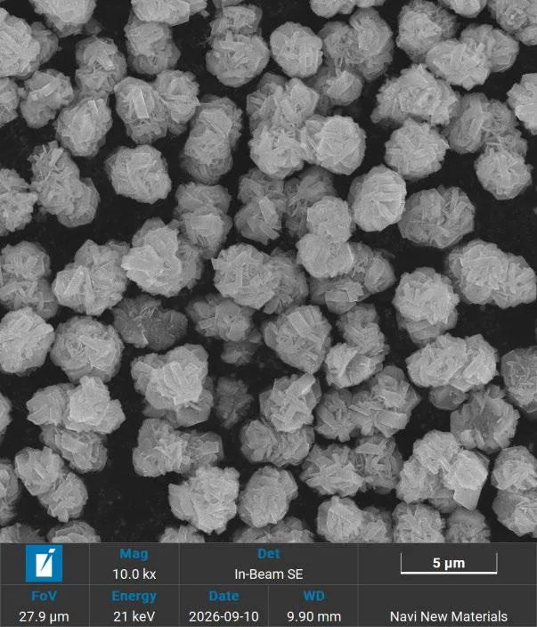 SEM image of Firebird LMR particle morphology showing uniform size and rounded structured surfaces