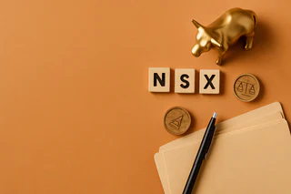 NSX Extends CNSX Shareholder Deadline, Adds Acquisition Flexibility