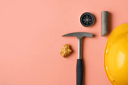 Previous Article Image