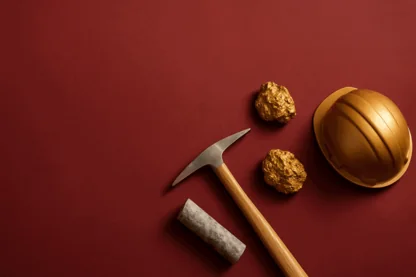 Previous Article Image