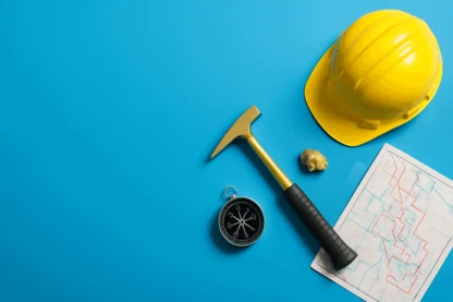 Previous Article Image