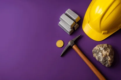 Previous Article Image