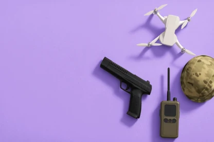 Previous Article Image