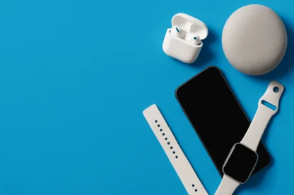 Previous Article Image