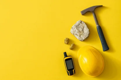 Previous Article Image