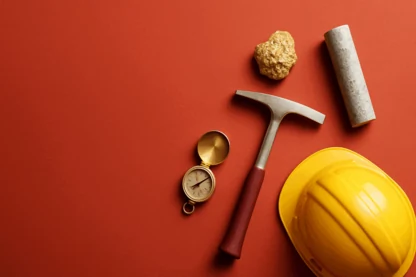 Previous Article Image