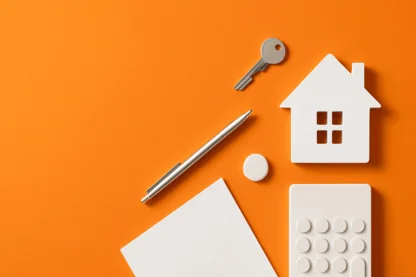 Previous Article Image