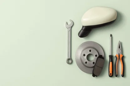 Previous Article Image