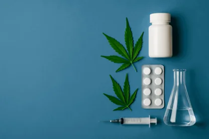 Previous Article Image