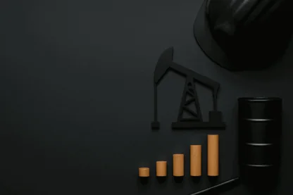 Previous Article Image