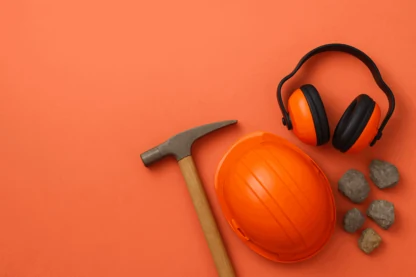 Previous Article Image