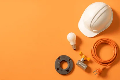 Previous Article Image