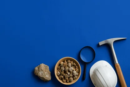 Previous Article Image