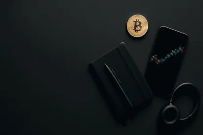 Previous Article Image