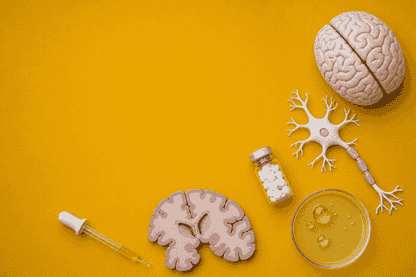 Actinogen’s XanaMIA Trial Clears Third Safety Review Ahead of November Results