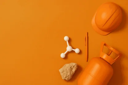 Previous Article Image