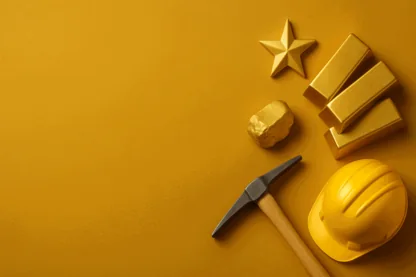 Previous Article Image