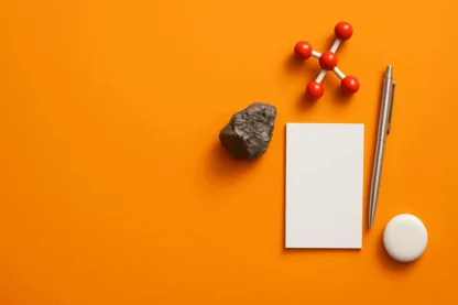 Previous Article Image