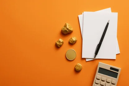 Previous Article Image