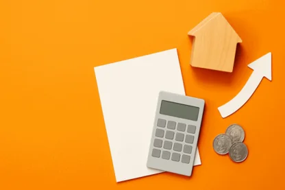 Previous Article Image