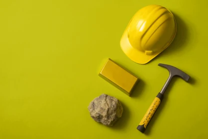 Previous Article Image