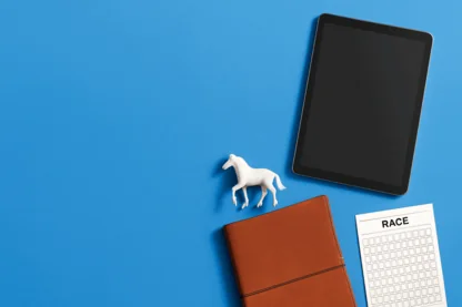 Previous Article Image