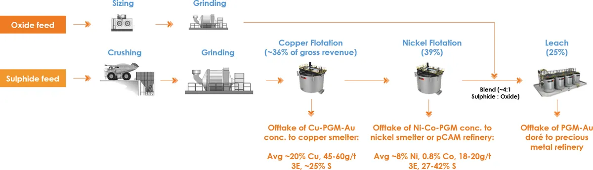 Gonneville Project process flowsheet (simplified)