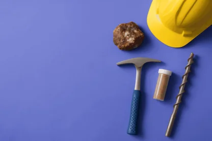 Previous Article Image