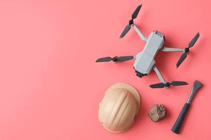 Previous Article Image