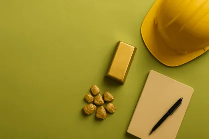 Previous Article Image