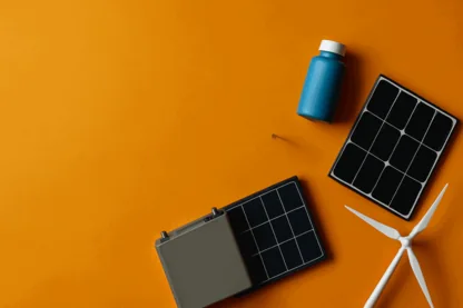 Previous Article Image