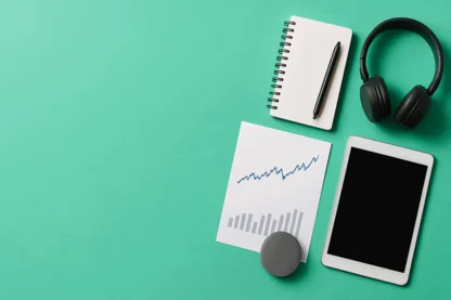 Previous Article Image