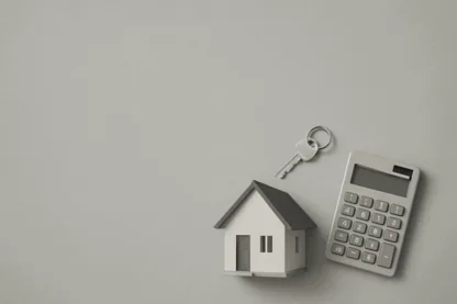 Previous Article Image