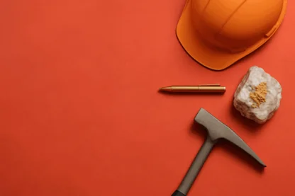 Previous Article Image