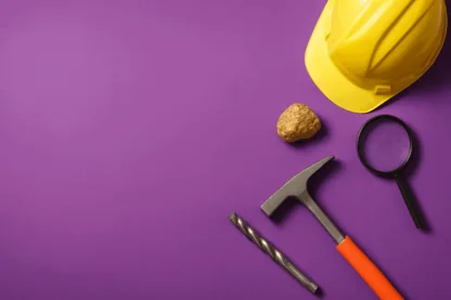 Previous Article Image