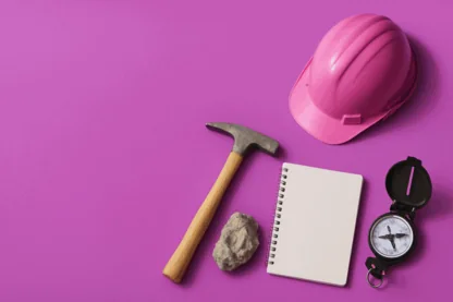 Previous Article Image