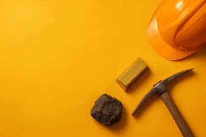 Previous Article Image