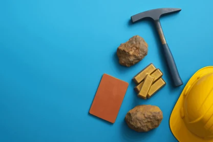 Previous Article Image