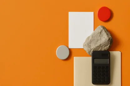 Previous Article Image