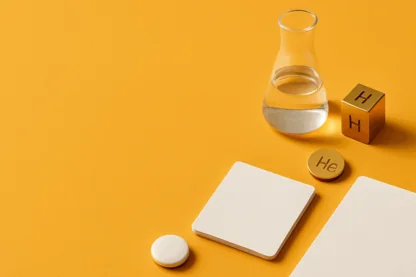 Previous Article Image