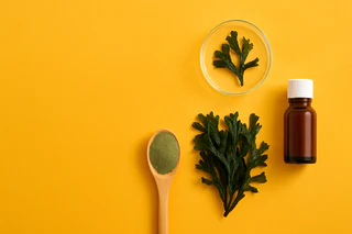 BPH Global Turns Seaweed Ambitions into Early Sales and Strategic Growth
